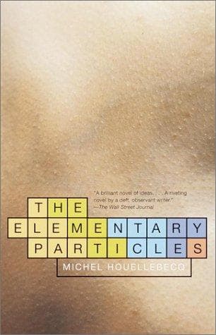 Cover image for The elementary particles
