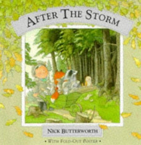 Cover image for After the Storm