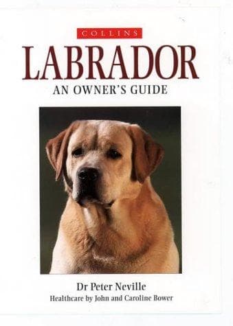 Cover image for Labrador (Collins Dog Owner's Guide)