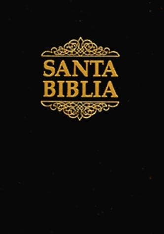 Cover image for Spanish Bible