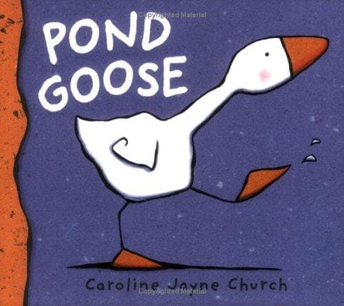 Cover image for Pond Goose
