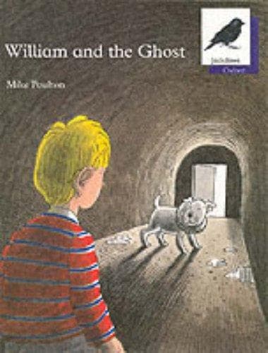 Cover image for Oxford Reading Tree: Stage 11: Jackdaws Anthologies