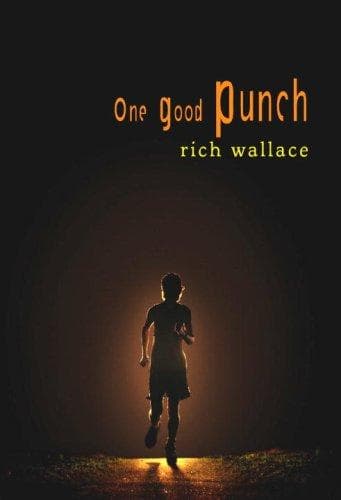 Cover image for One Good Punch