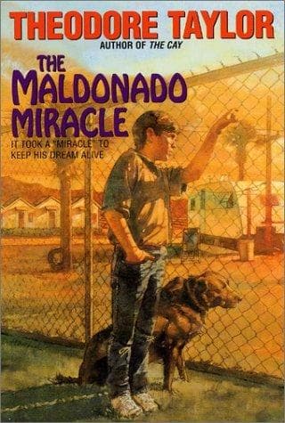 Cover image for The Maldonado Miracle (Avon Camelot Book)