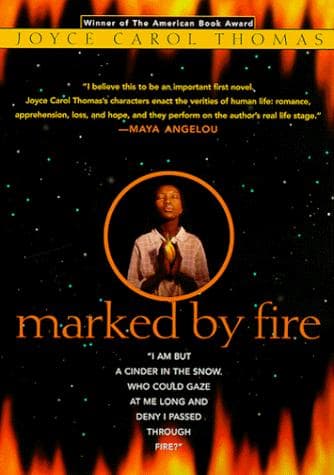 Cover image for Marked by fire