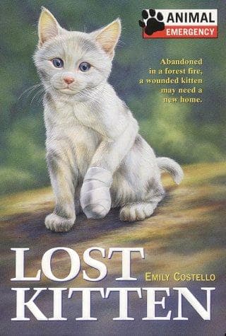 Cover image for Lost kitten