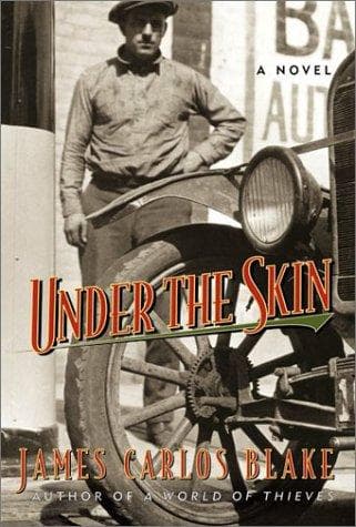 Cover image for Under the skin