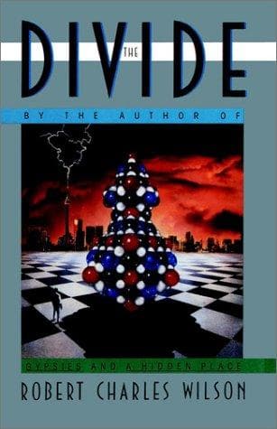 Cover image for The Divide