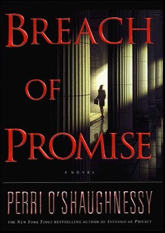 Cover image for Breach of promise