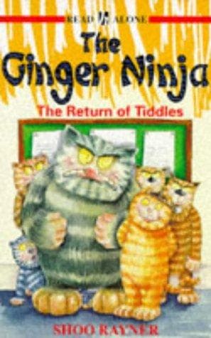 Cover image for The Ginger Ninja