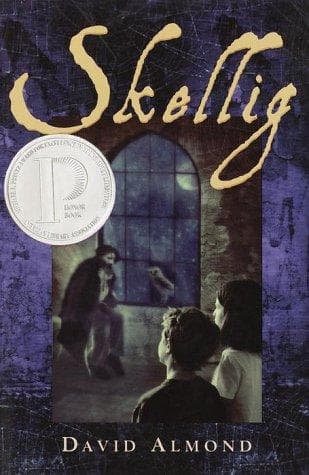 Cover image for Skellig