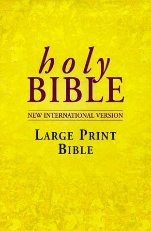 Cover image for NIV Bible (Bible Niv)