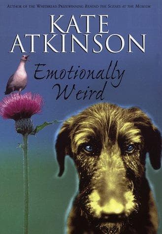 Cover image for Emotionally Weird