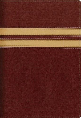 Cover image for NIV Compact Thinline Bible (Bible Niv)