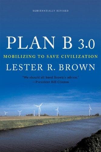 Cover image for Plan B 3.0