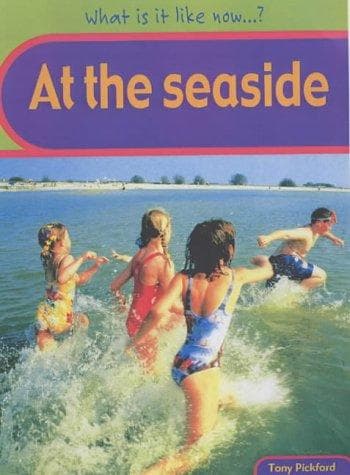 Cover image for At the Seaside (What Is It Like Now?)
