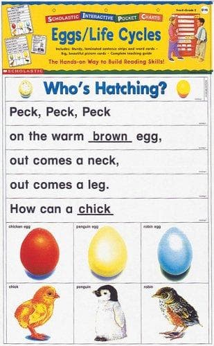 Cover image for Scholastic Interactive Pocket Charts