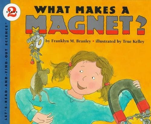Cover image for What makes a magnet?