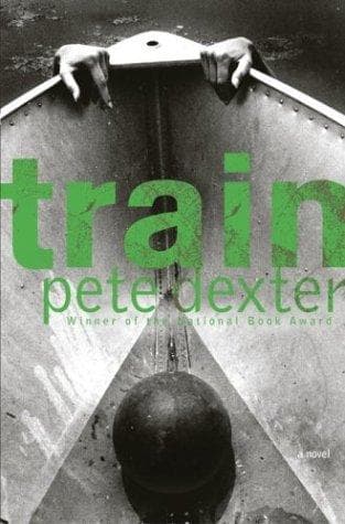 Cover image for Train