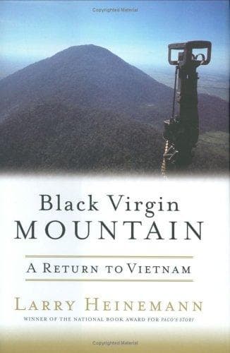 Cover image for Black Virgin Mountain