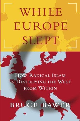 Cover image for While Europe slept