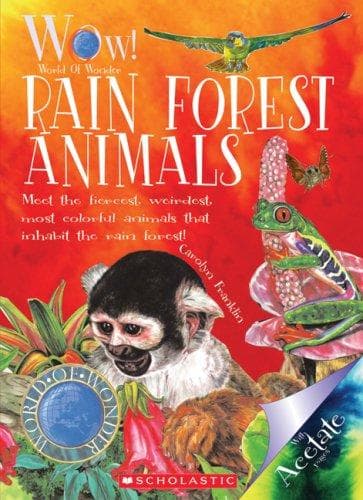 Cover image for Rain Forest Animals! (World of Wonder)