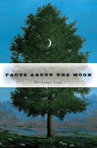 Cover image for Facts about the moon
