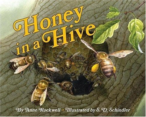Cover image for Honey in a Hive (Let's-Read-and-Find-Out Science 2)