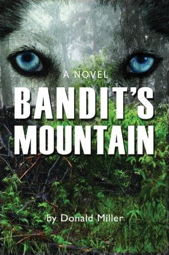 Cover image for Bandit's Mountain