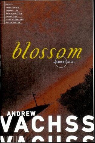 Cover image for Blossom