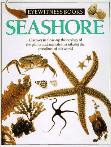 Cover image for Seashore (Eyewitness Books)