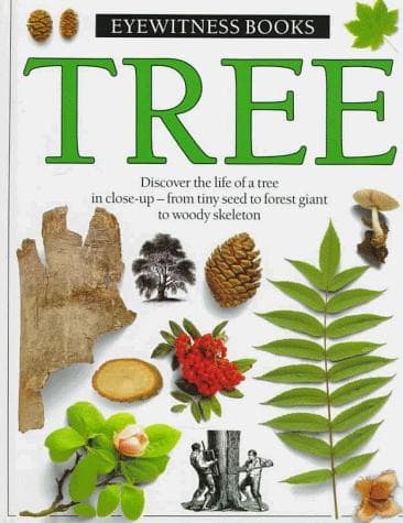 Cover image for Tree (Eyewitness Books)
