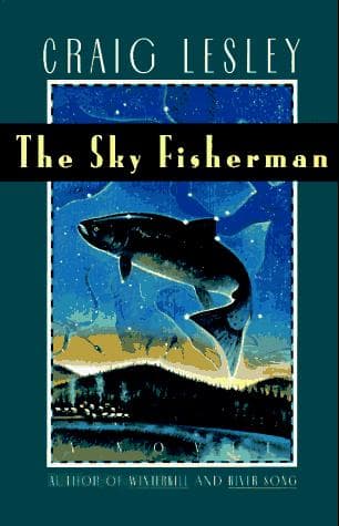 Cover image for The sky fisherman
