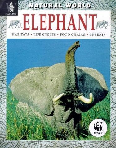 Cover image for Elephant (Natural World)