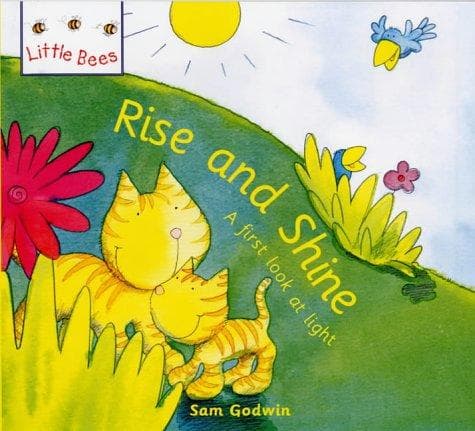 Cover image for Rise and Shine (Little Bees)