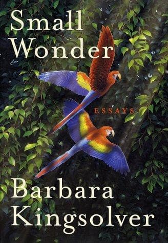 Cover image for Small wonder