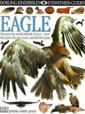 Cover image for Eagle