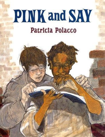 Cover image for Pink and Say