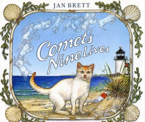 Cover image for Comet's nine lives