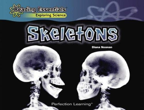 Cover image for Skeletons