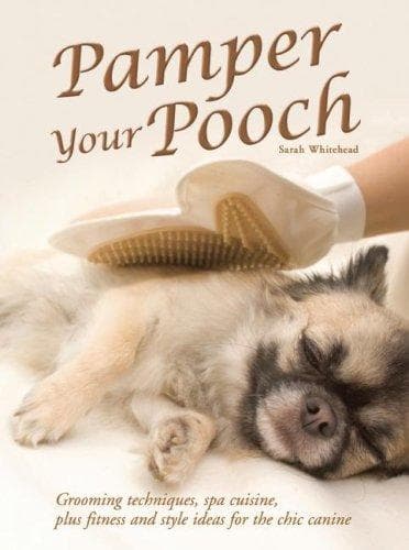 Cover image for Pamper Your Pooch