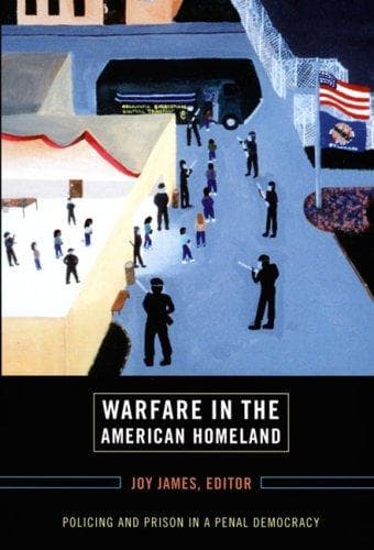 Cover image for Warfare in the American Homeland