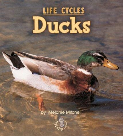 Cover image for Ducks (First Step Nonfiction)