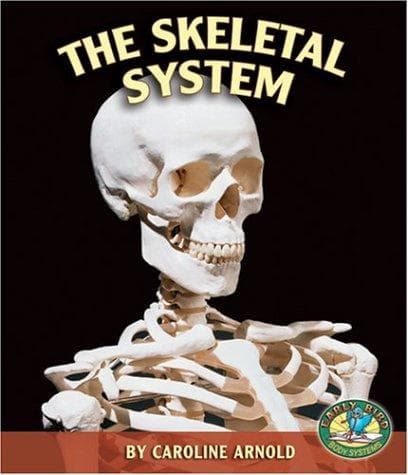 Cover image for The Skeletal System (Early Bird Body Systems)