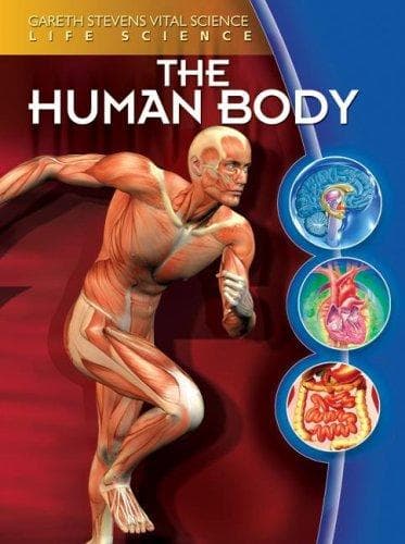 Cover image for The Human Body (Gareth Stevens Vital Science: Life Science)