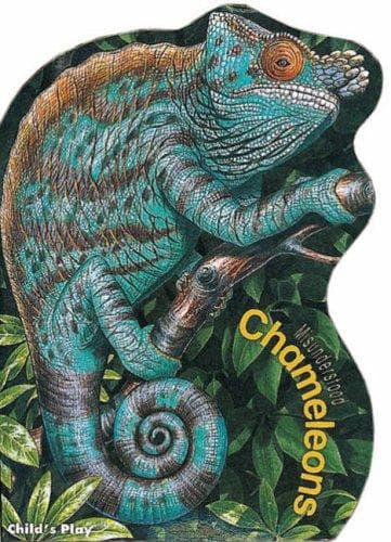 Cover image for Chameleons (Misunderstood)