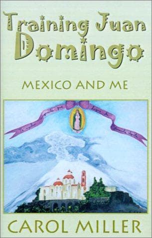 Cover image for Training Juan Domingo
