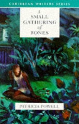Cover image for A Small Gathering of Bones