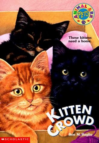 Cover image for Kitten crowd