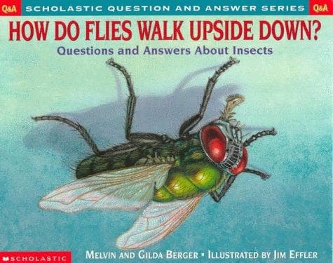 Cover image for Scholastic Q & A